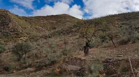 Foto 2 von Grundstücke zum Verkauf in Albánchez, Almería