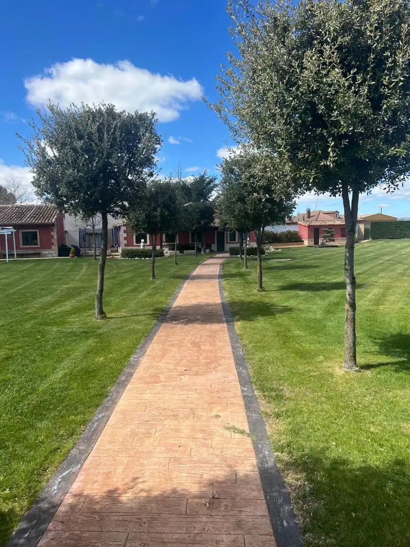 Vista exterior de Casa o xalet en venda en Villanueva de Duero amb Calefacció, Jardí privat i Terrassa