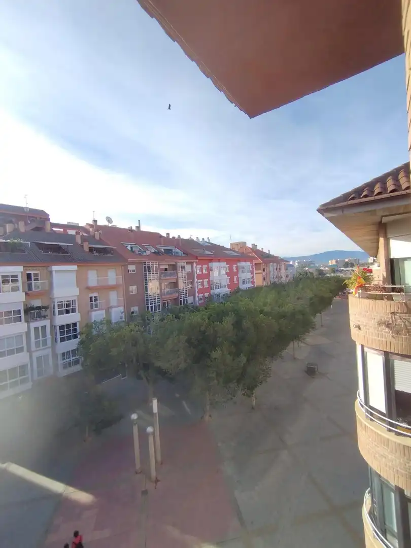 Piso de alquiler en Paseo del Fotógrafo Verdú, 2, El Carmen, Sur, Murcia Capital