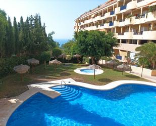 Swimming pool of Apartment to rent in Fuengirola  with Terrace