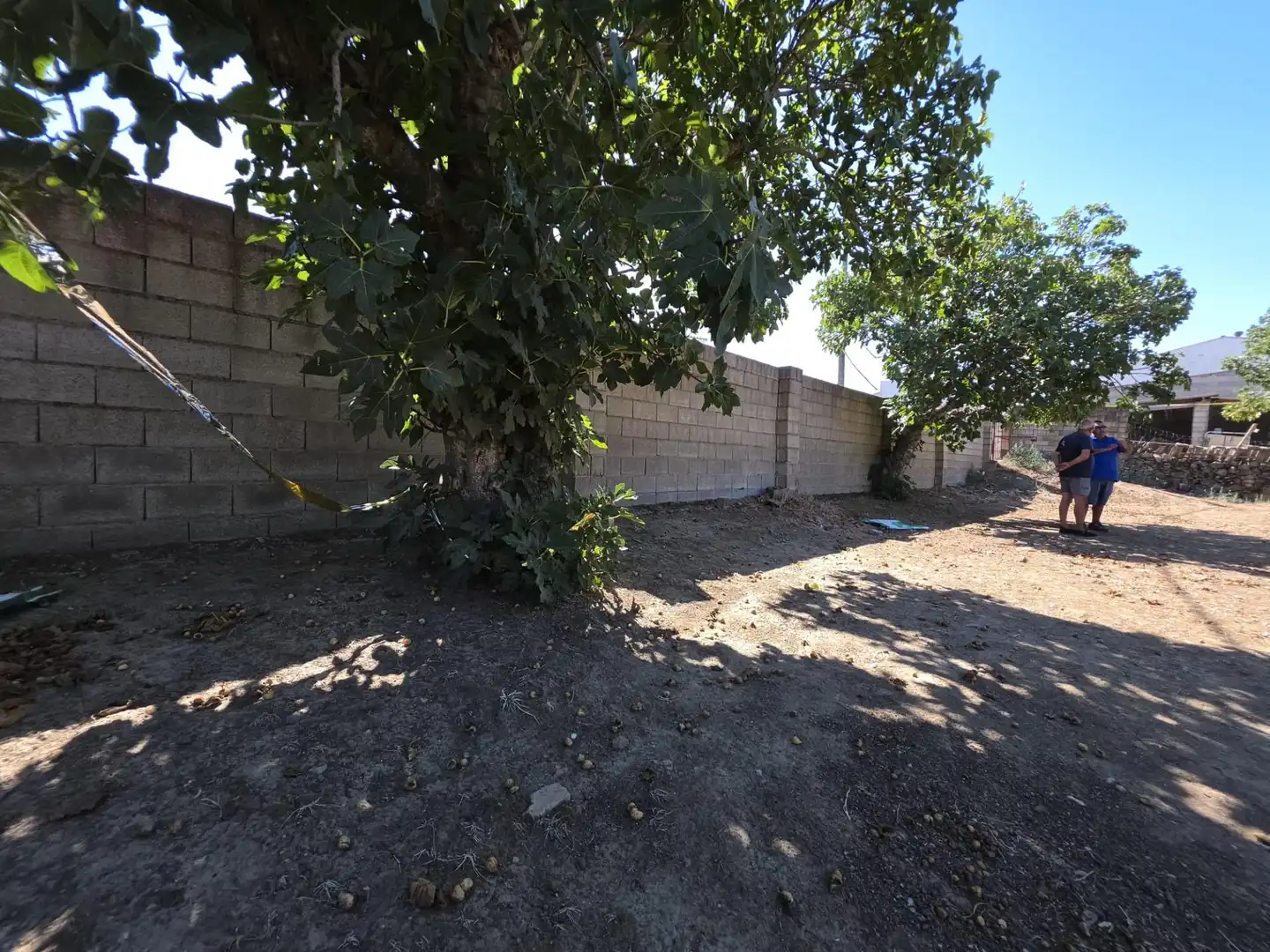 Terreny residencial en venda a Valdefuentes, imagen 3