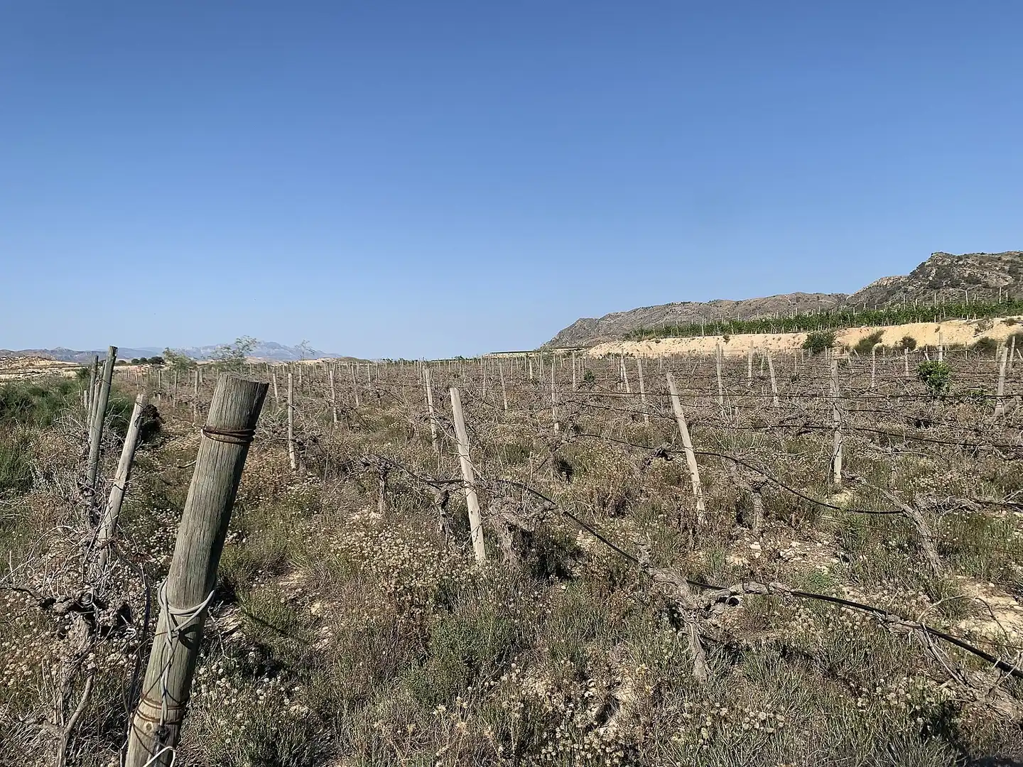 Terreno residencial en venta en Monforte del Cid, imagen 6