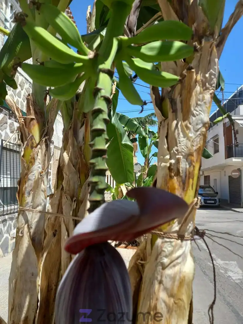 Außenansicht von Wohnung zur Miete in San Pedro del Pinatar mit Klimaanlage, Heizung und Terrasse
