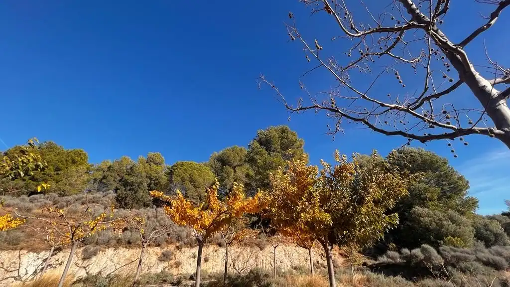 Terreny rústic en venda a Carrer del Dimecres, imagen 19