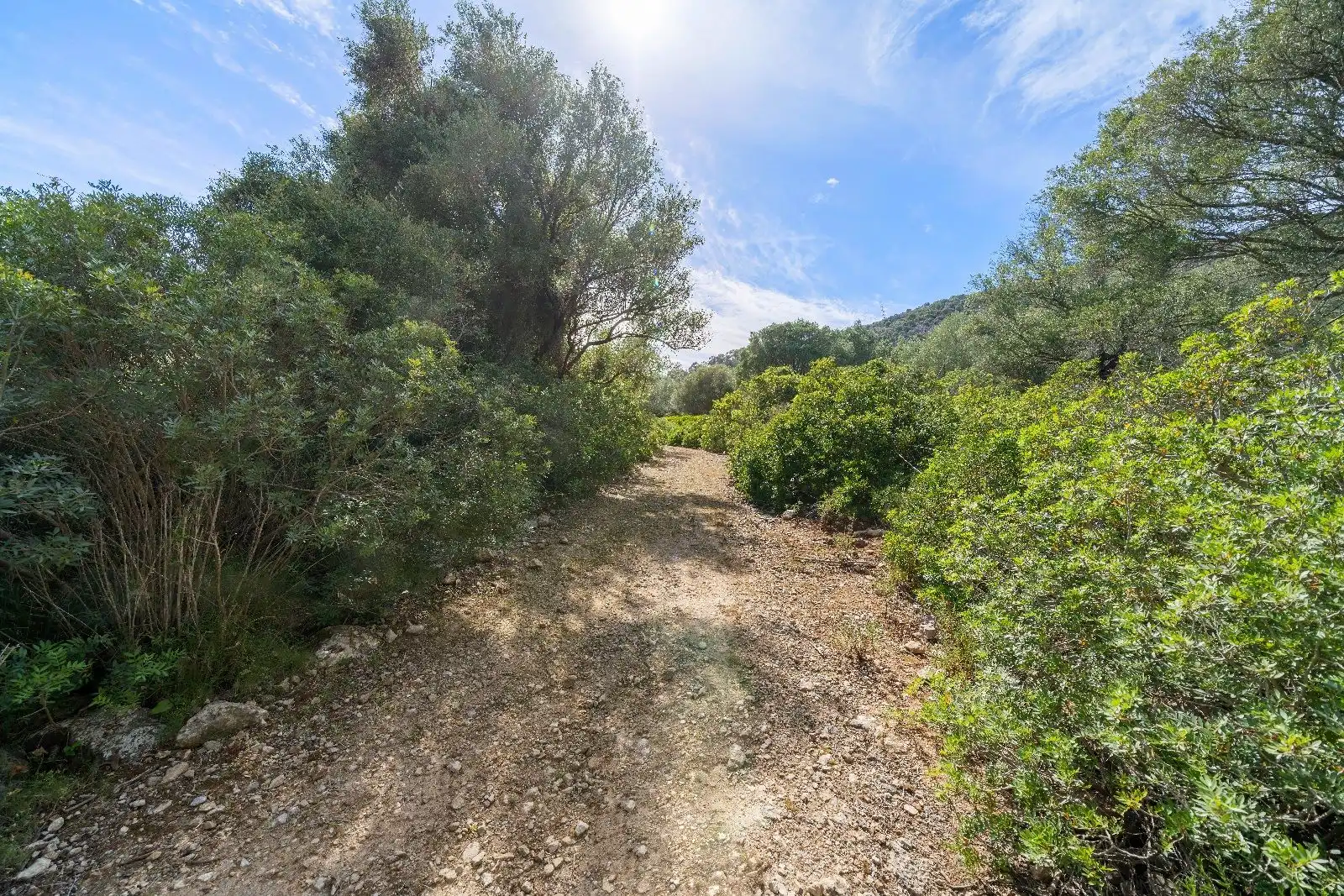 Terreny residencial en venda a Ciutat d'Alcúdia, imagen 9