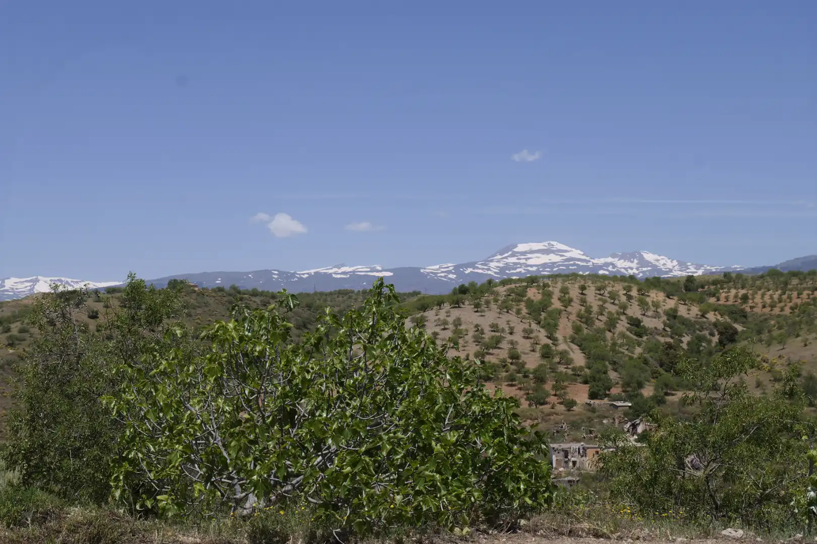 Casa o xalet en venda en Murtas amb Jardí privat, Terrassa i Piscina