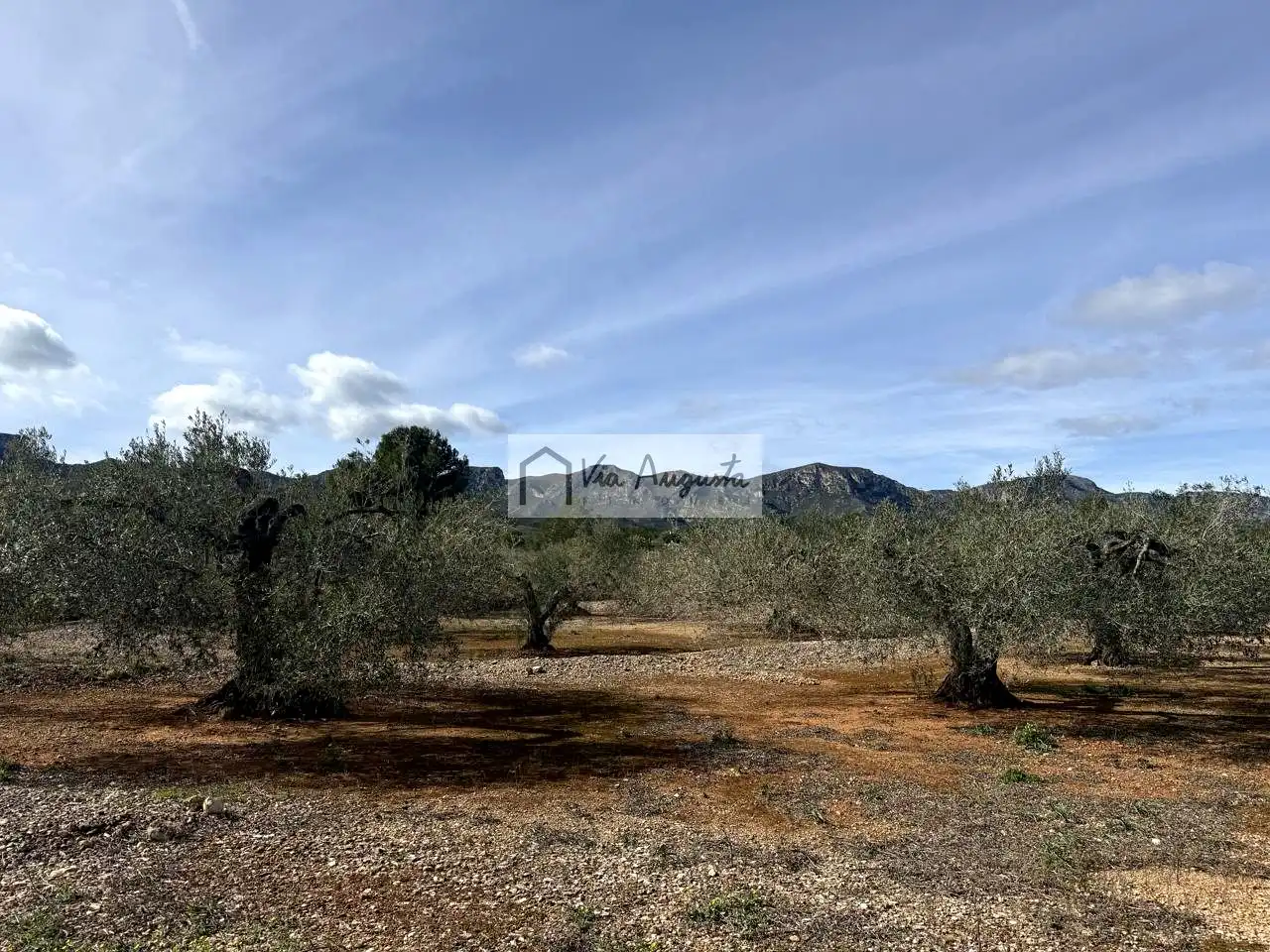 Terreno rustico in vendita a Burgà, imagen 12