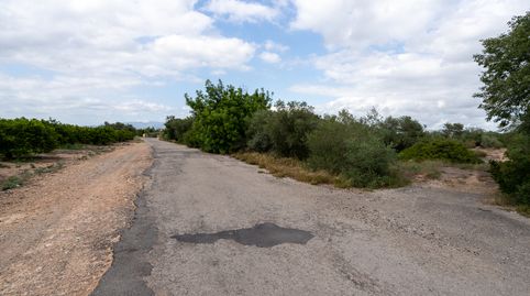Finca rústica de 9000 m2 con agua de pozo comunitario, imatge 3