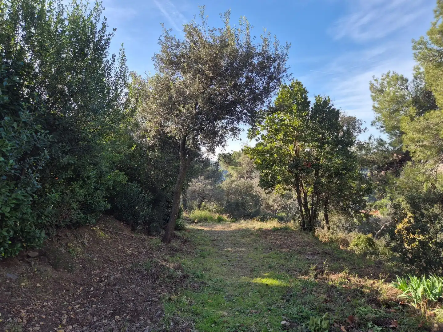 Planta baixa en venda en Barcelona