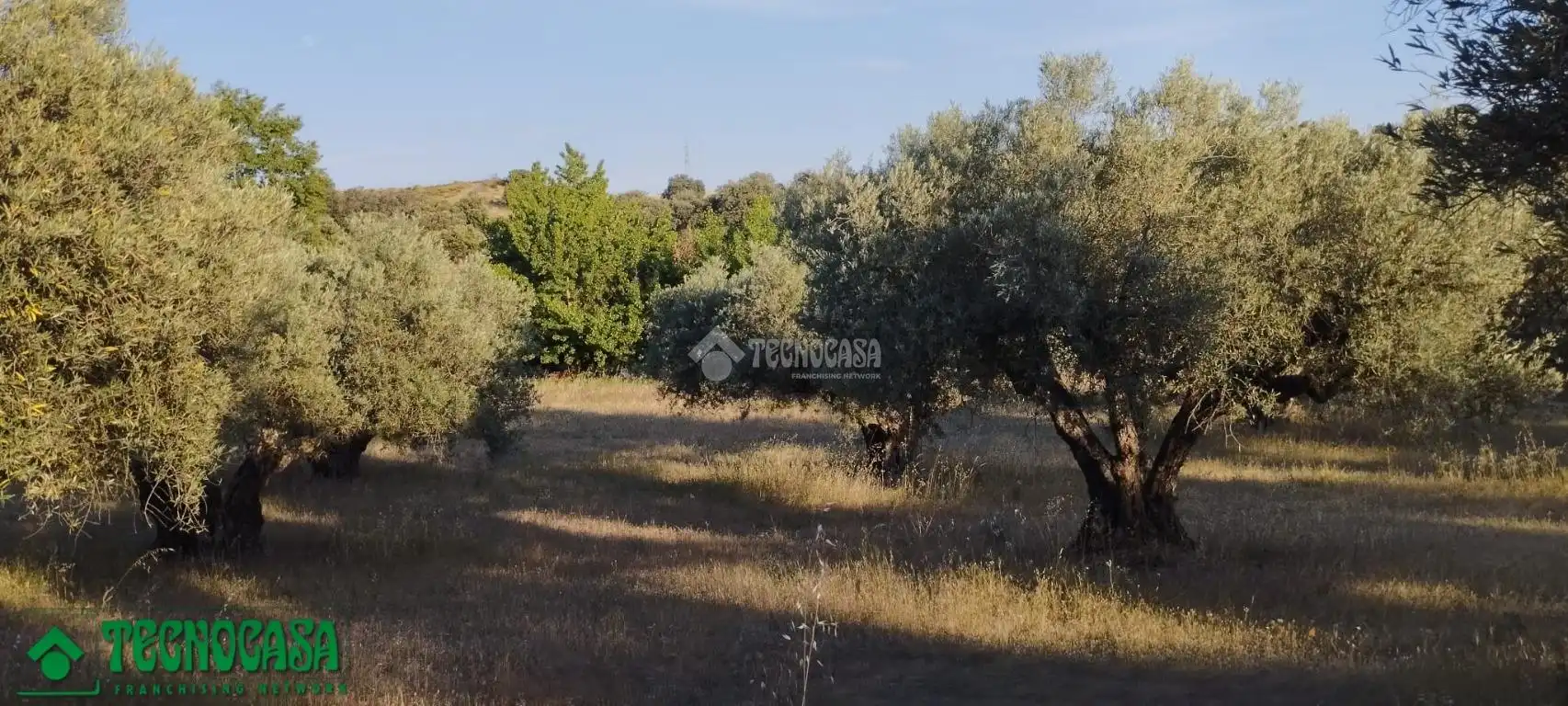 Terreni e lotti in vendita a Méntrida, imagen 20
