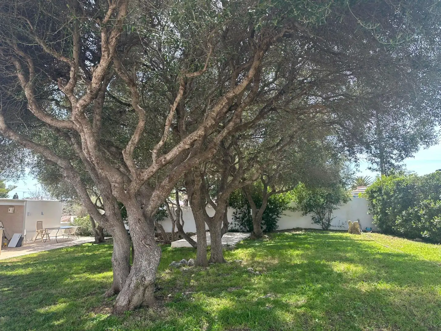 Villa avec piscine à vendre à Son Vilar - Trepucó, imagen 35