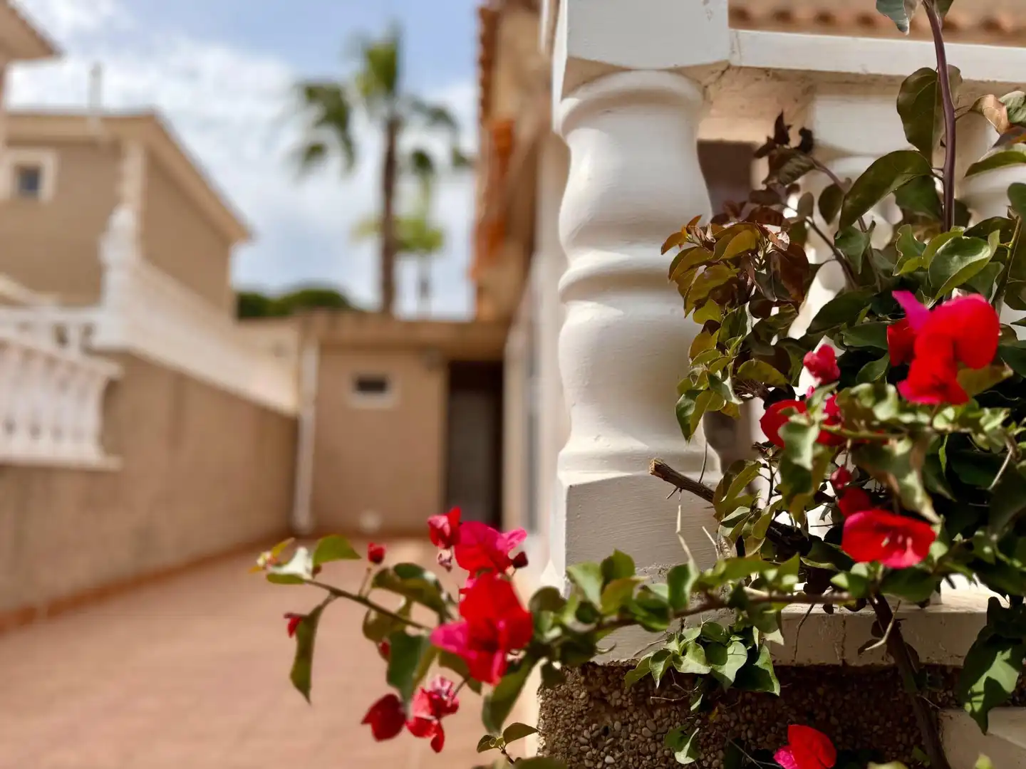 Terrassa de Casa o xalet en venda en Torrevieja amb Aire condicionat, Jardí privat i Terrassa