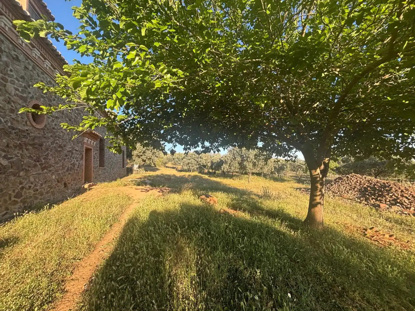 Casa rústica en venda a Malagón, imagen 18