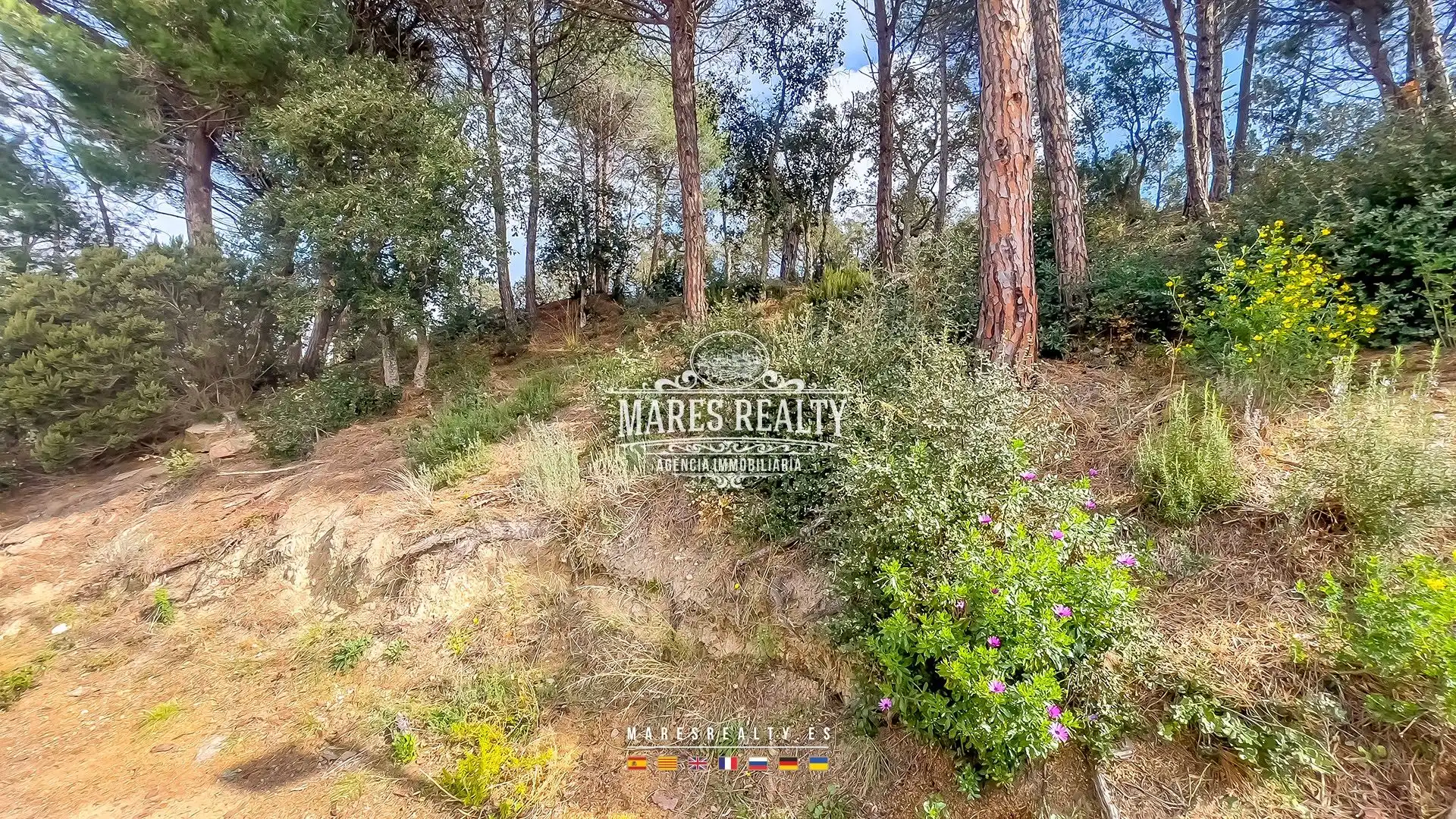 Terrenos y solares en venta en Pirineos 18, imagen 28