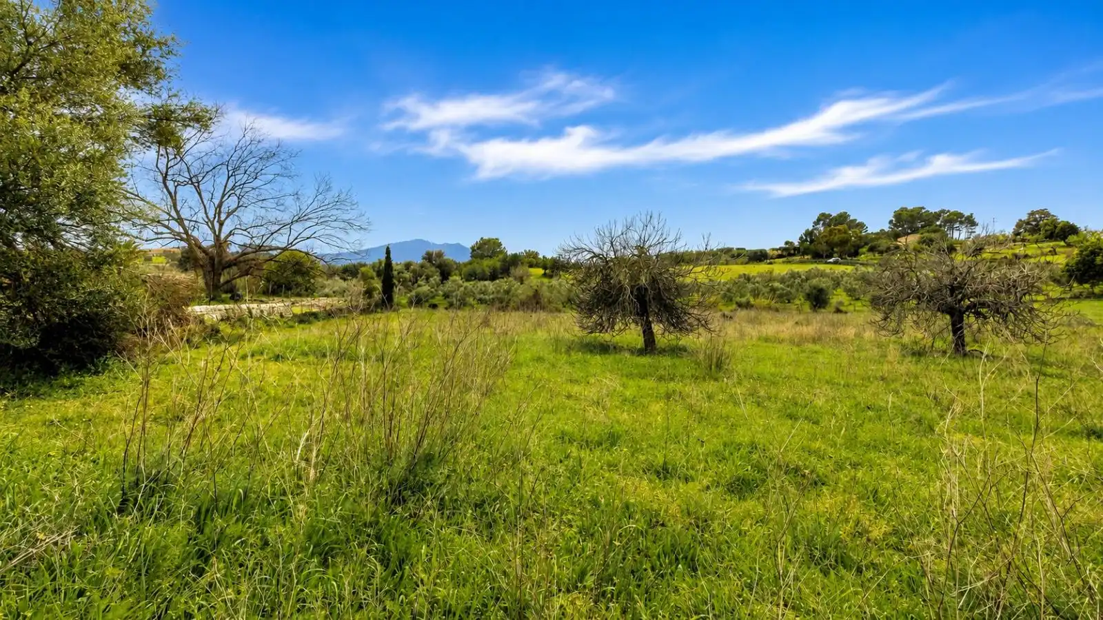 Residential for sale in Selva