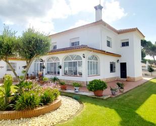 Vista exterior de Casa o xalet en venda en Conil de la Frontera amb Aire condicionat, Terrassa i Piscina