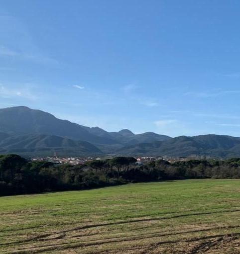 Foto 2 de Residencial en venda a Sant Hipòlit, 6, Breda, Girona