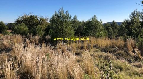 Parcelas en venta en La Incolla, Chiva 46370, immagine 5