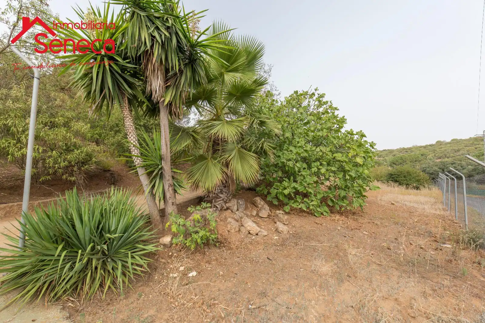 Casa o xalet en venda a Las Jaras