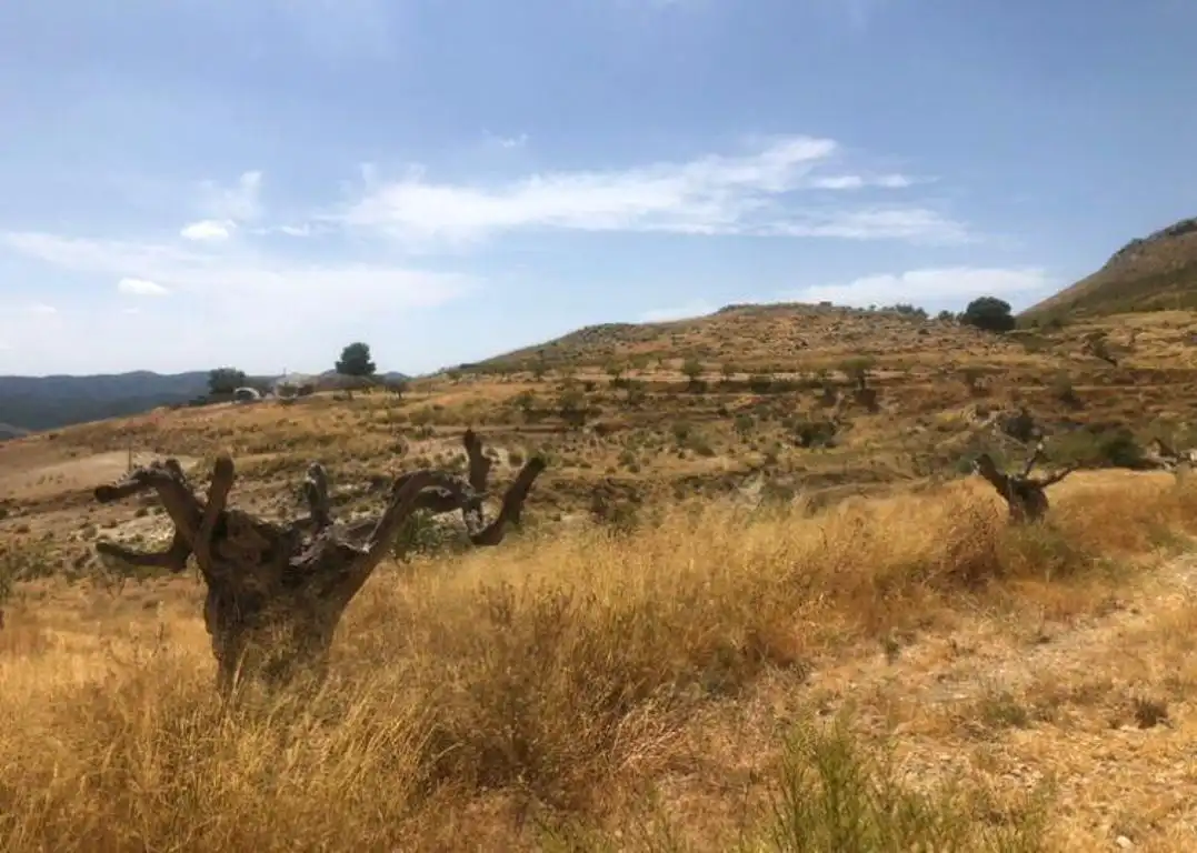 Terrain rustique à vendre à Lorca Ciudad, imagen 3