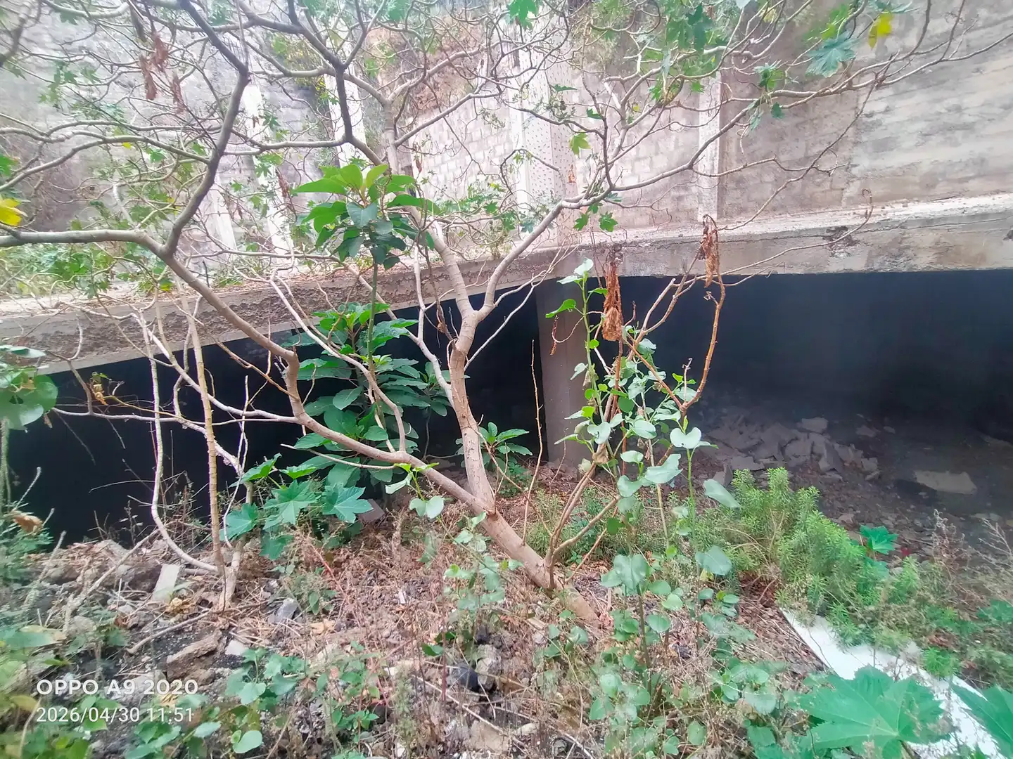 Terreny residencial en venda a Avenida del Obispo Pérez Cáceres 8, imagen 8