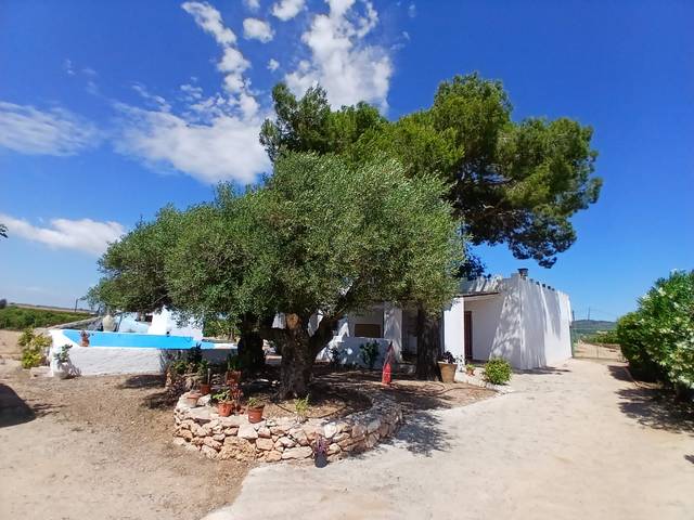 Finca rústica en Alquiler en N-340, 1050 en Alcanar