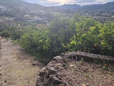Terreno rustico in vendita a Urbanitzacions i Pedanies Sud