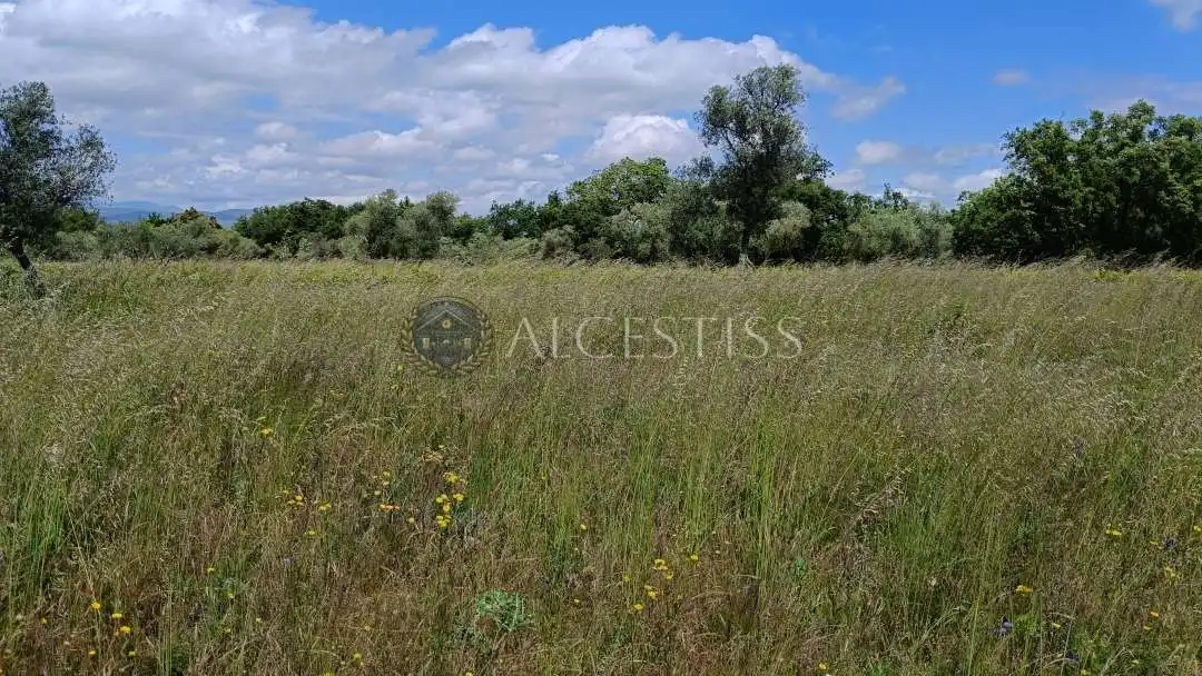 Land for sale in Méntrida