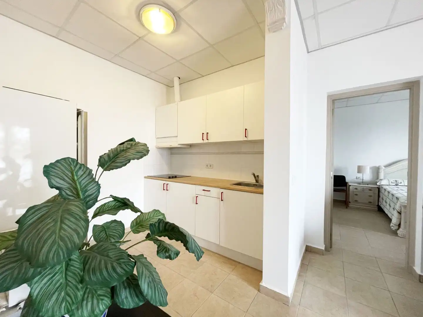 Casa en venta en Oltamar - Cucarres, imagen 36