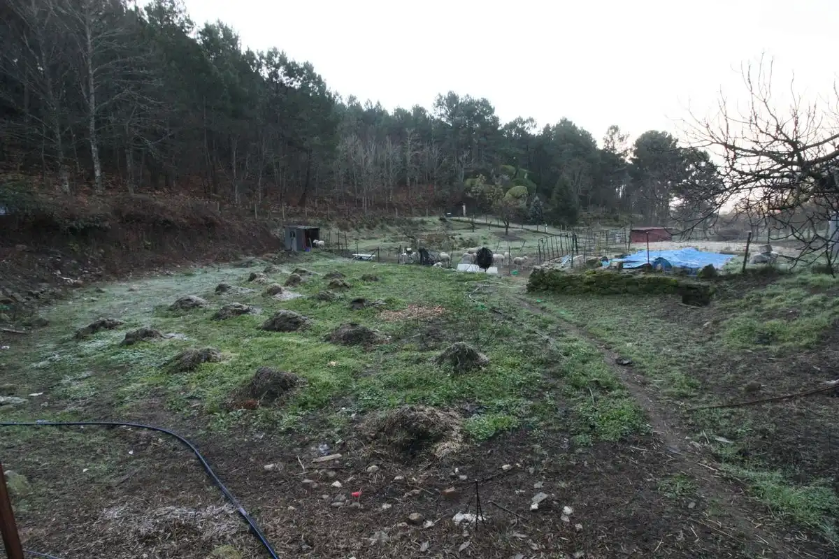 Terreni e lotti in vendita a Arenas de San Pedro, imagen 12