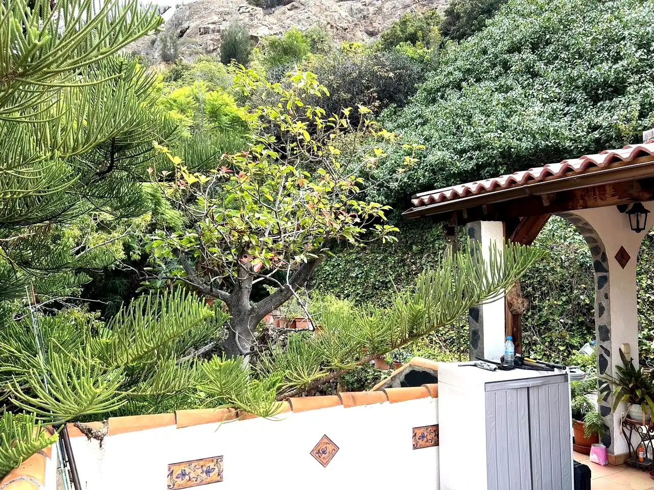 Jardín de Finca rústica en venta en Vallehermoso con Aire acondicionado, Calefacción y Jardín privado