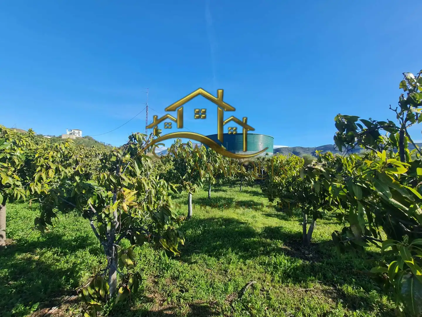 Casa rustica in vendita a Diseminado Atalaya Baja, imagen 31