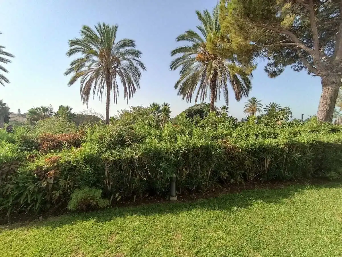 Casa o chalet en venta en Estepona con Calefacción, Terraza y Trastero