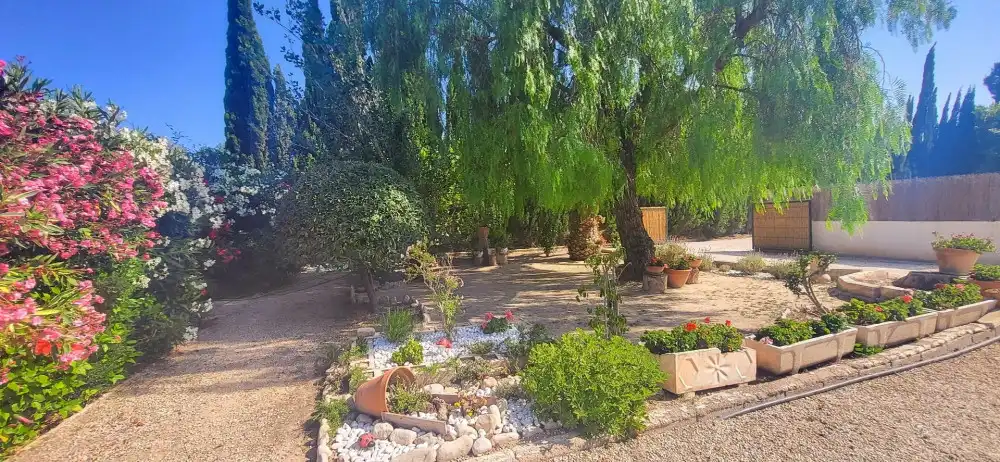 Jardín de Casa o chalet en venta en Novelda