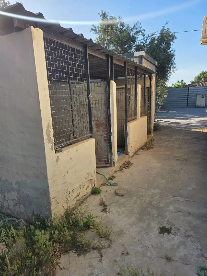 Terreni e lotti in vendita a Pedanías Norte, imagen 35