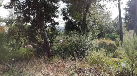 Foto 2 de Residencial en venta en Creu D'aguilar, 301, Canyamars, Dosrius