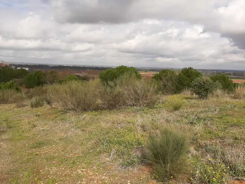 Terreni e lotti in vendita a GOLF DEL GUADIANA, imagen 10