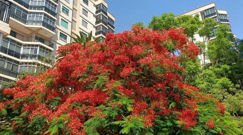 Foto 2 de Apartament en venda a Calle Garcilaso de la Vega, La Salle - Cuatro Torres,  Santa Cruz de Tenerife Capital
