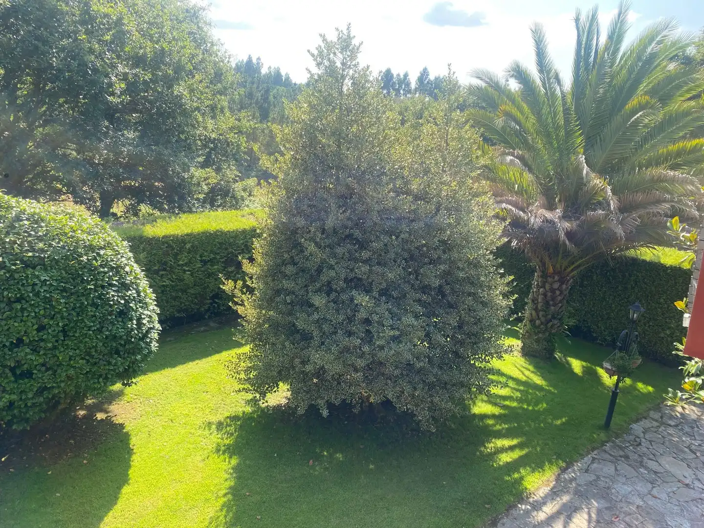 Jardín de Casa o chalet en venta en Lugo con Calefacción, Piscina y Amueblado