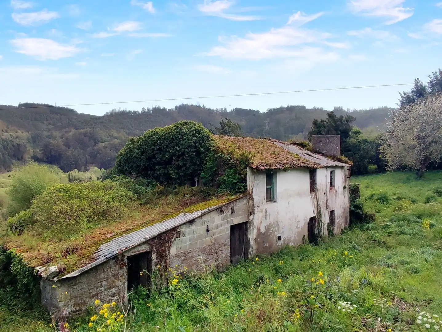 Villa avec jardin à vendre à Sumio 0, imagen 3
