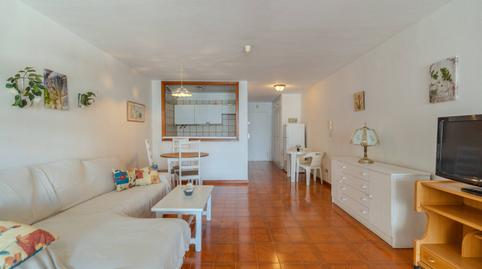 Photo 5 of Study for rent in Avenida Cristobal Colon, 26, Zona Botánico, Puerto de la Cruz