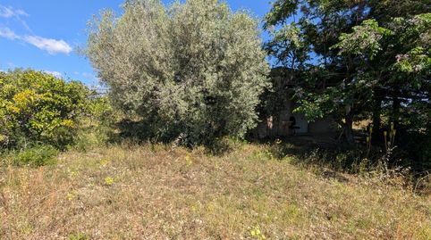 Foto 5 de Terreno en venta en Partidas de interior - Zona Rústica, Vinaròs