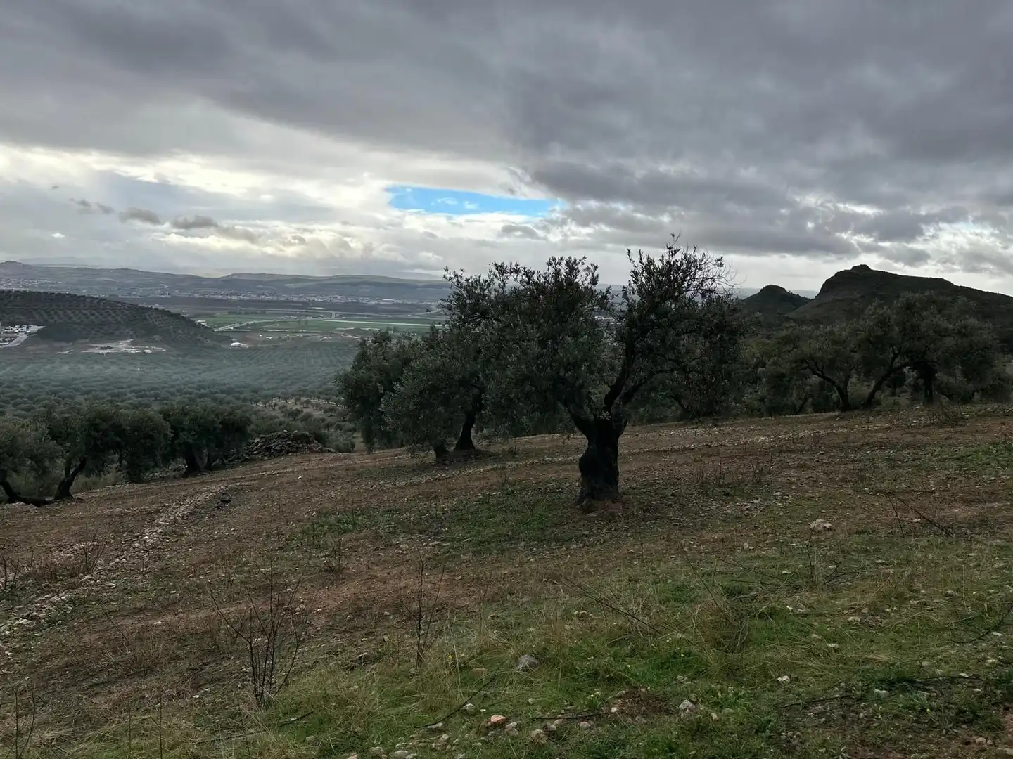 Terreni e lotti in vendita a Atarfe, imagen 11