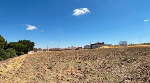 Gran parcela urbana a pie de carretera
