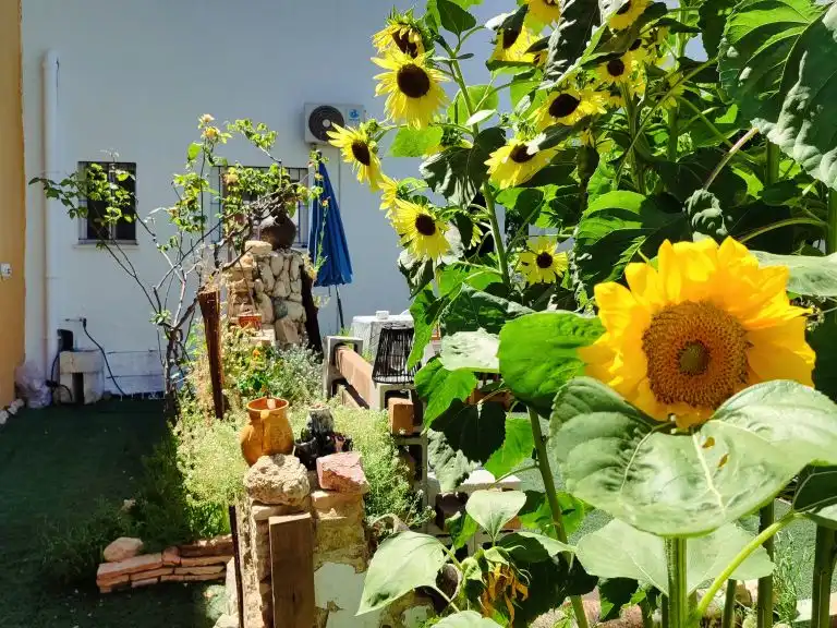 Jardí de Casa o xalet en venda en Jerez de la Frontera amb Aire condicionat, Calefacció i Jardí privat