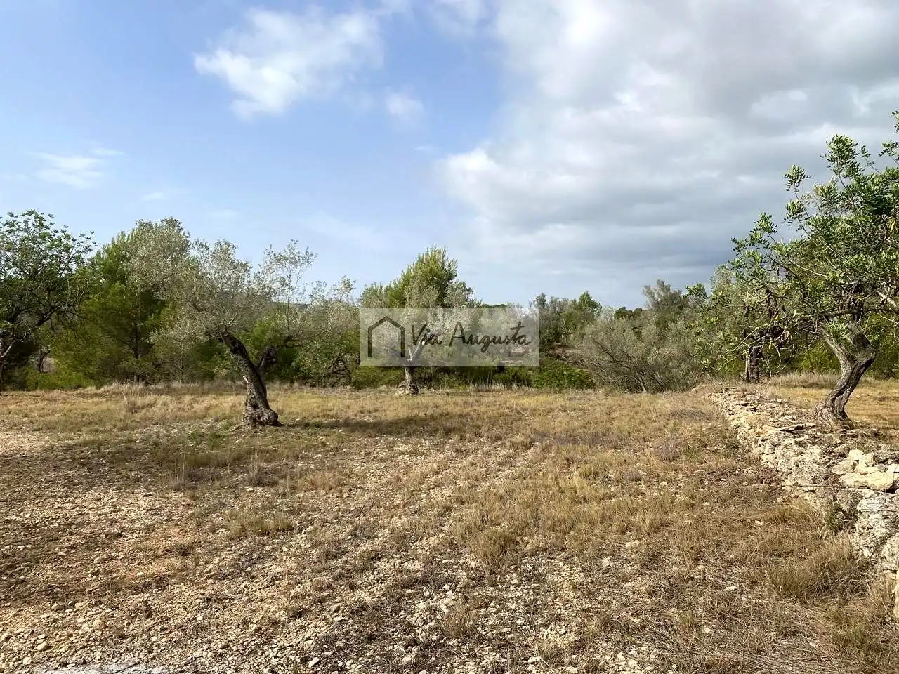 Terreno rustico in vendita a Mas de Baralluga, imagen 4