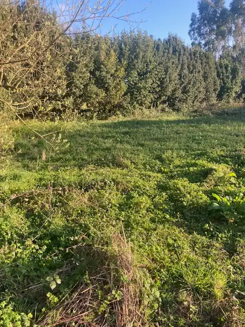 Land for sale in Arteixo