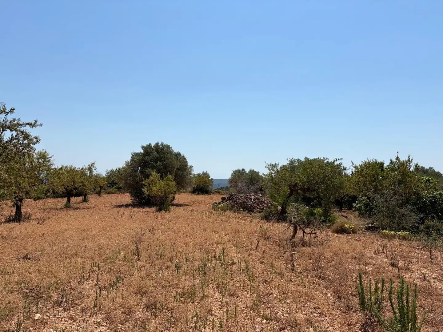 Terreny rústic en venda a Sierra Engarcerán, imagen 2