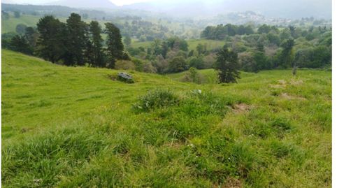 Finca ganadera en Asturias, imatge 4