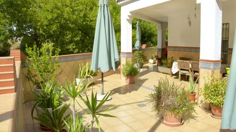Photo 2 of House or chalet for sale in Tigris, Parque Alcosa, Sevilla